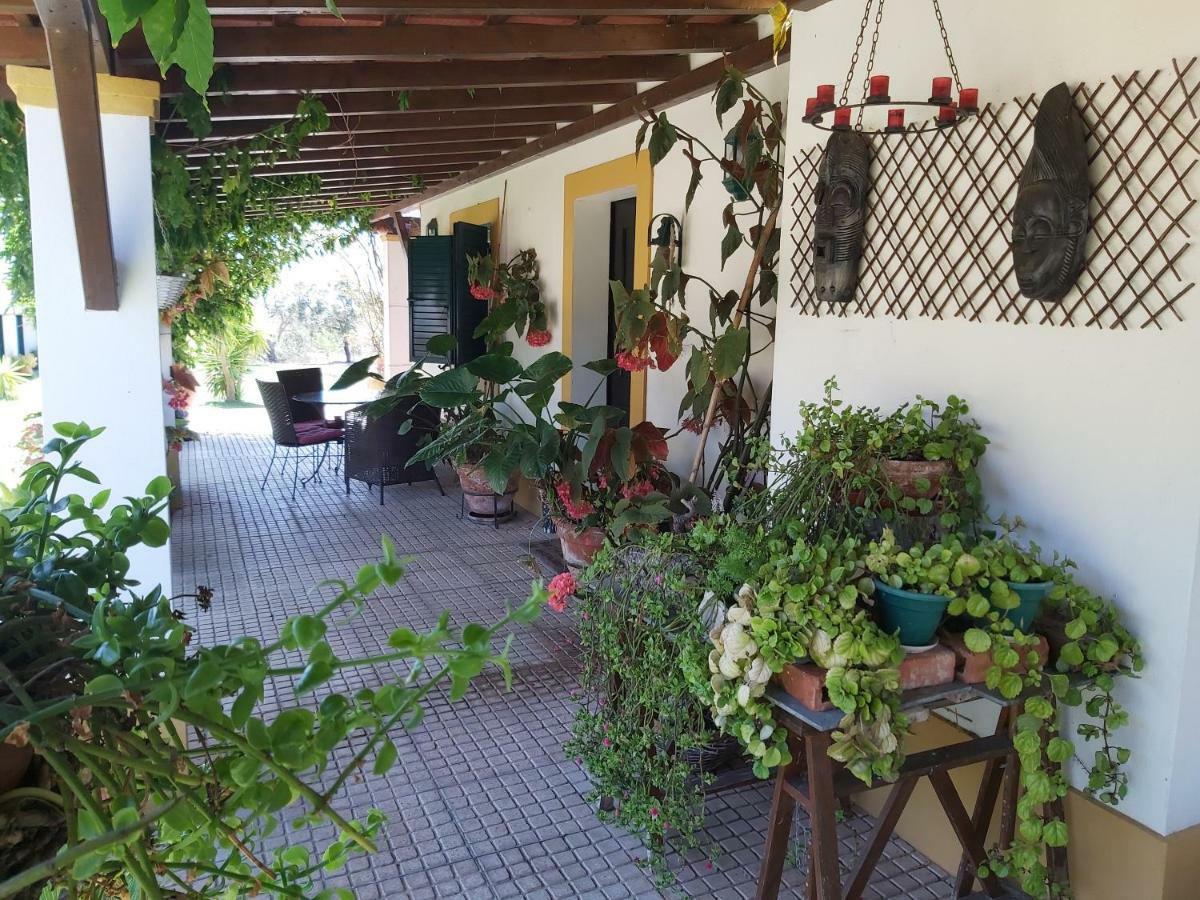 Santiago do Cacém Monte Da Corte By Hi Alentejo מראה חיצוני תמונה